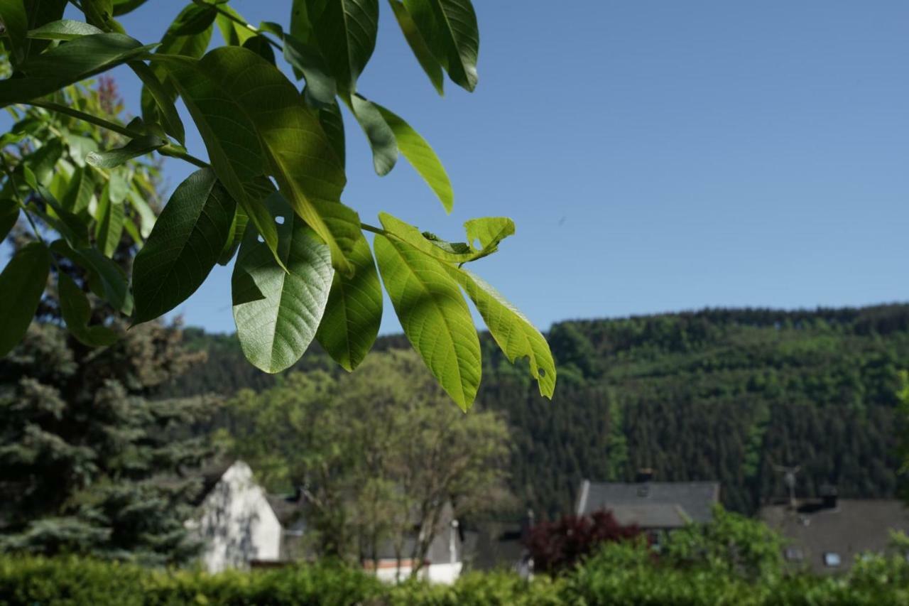 Ferienwohnungen Christina Verbandsgemeinde Verbandsgemeinde Traben-Trarbach Buitenkant foto